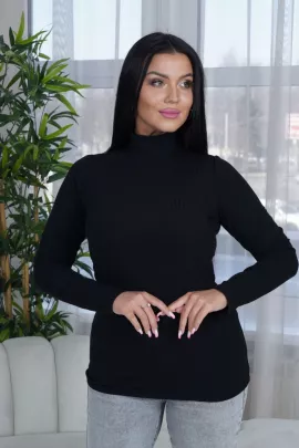 Вивея водолазка женская (черный)