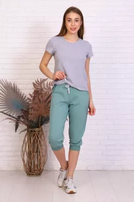 Бриджи Ричи-Фисташковые